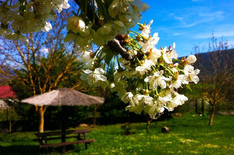 Arte Y Natura Valdivielso Quintana de Valdivielso Ngoại thất bức ảnh